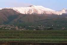 San Michele vyds w Etna.jpg